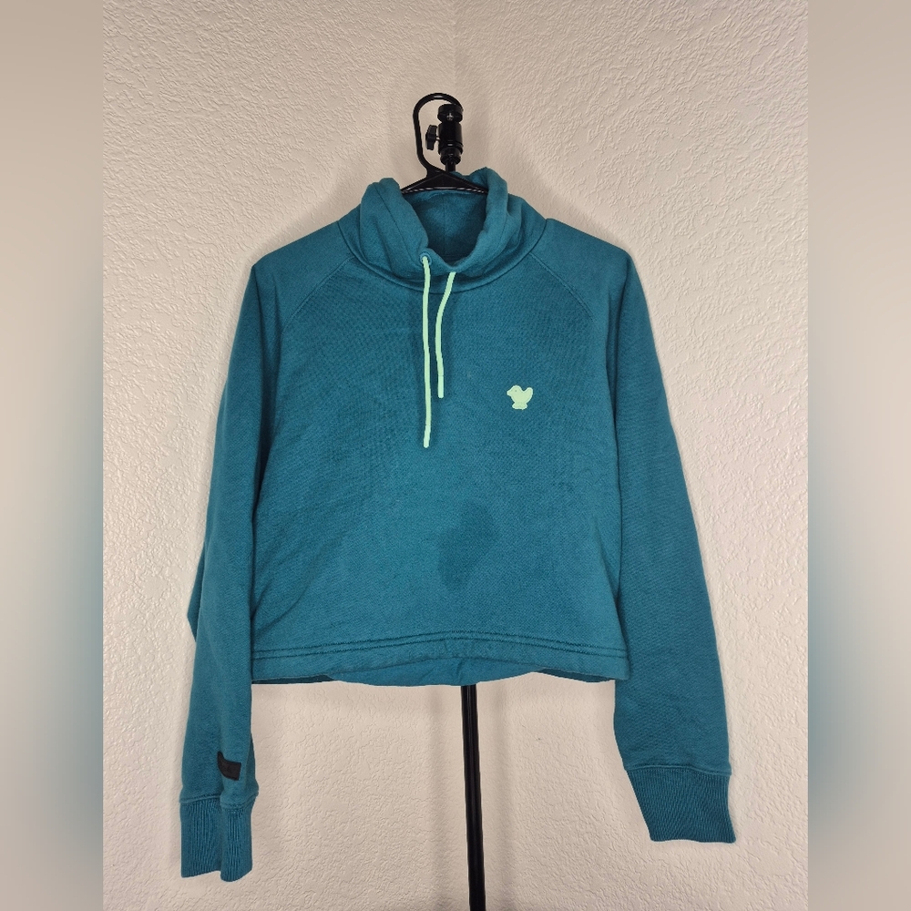 Teal Bad Birdie Cropped Hoodie
